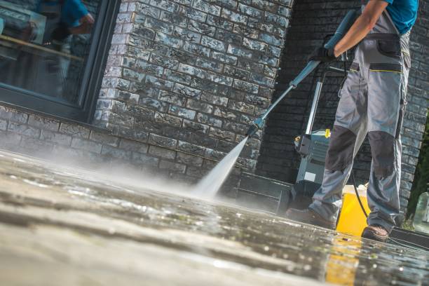 Best Spring Cleaning  in Dover, FL
