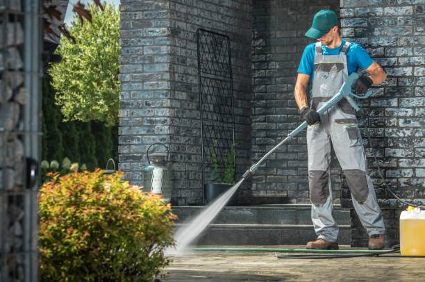Best House Exterior Washing  in Dover, FL