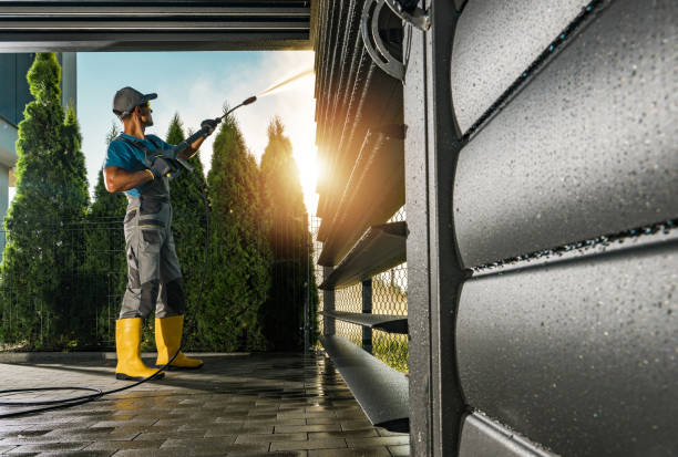 Best Solar Panel Cleaning  in Dover, FL