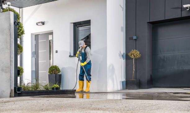 Animal Enclosure Cleaning in Dover, FL